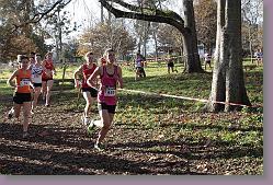 Begles 15.12.13 01 713 * 679 x 453 * (221KB)